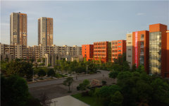 校园风景