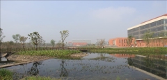 校园风景